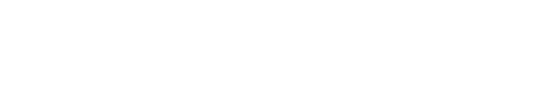 LocalEyes